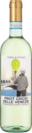 2023 Terra &amp; Vitigno Pinot Grigio