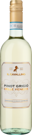 2023 Il Cavallino Pinot Grigio