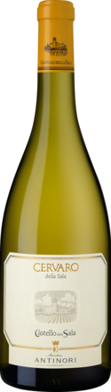 2023 Cervaro della Sala