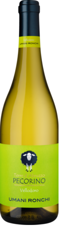 2024 Vellodoro Pecorino