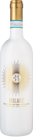 2024 Brillante Pinot Grigio