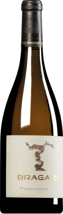 2019 Bragato Praephylloxera