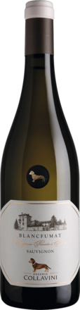 2024 Eugenio Collavini Sauvignon Blanc