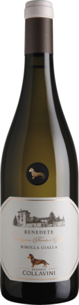 2024 Benedete Ribolla Gialla