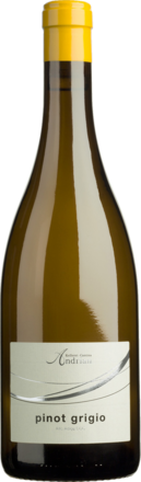 2024 Cantina Andrian Pinot Grigio