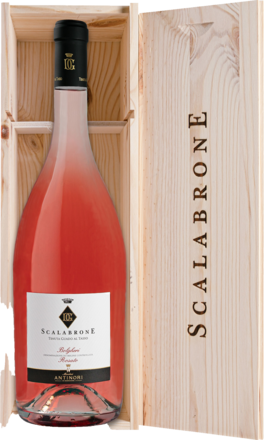2024 Tenuta Guado al Tasso Scalabrone Antinori