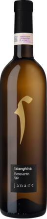 2024 Janare Falanghina