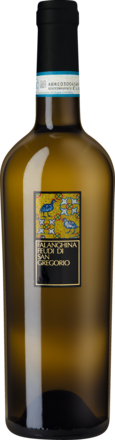 2024 Feudi di San Gregorio Falanghina