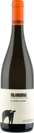 2024 San Salvatore Falanghina Bianco