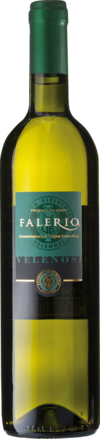 2024 Falerio Bianco