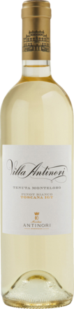 2024 Pinot Bianco