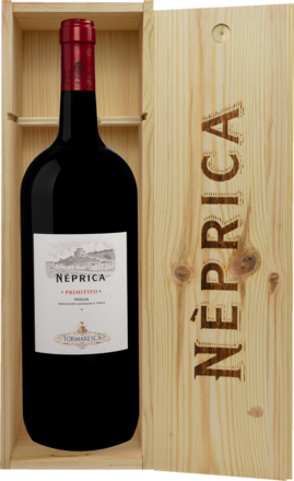 2024 Neprica Primitivo