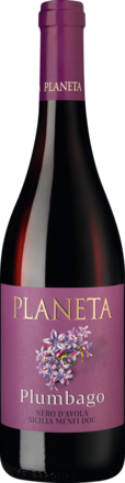 2023 Plumbago Nero d'Avola