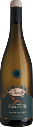 2025 Collavini Villa Canlungo Pinot Grigio