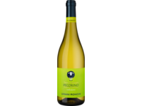 Vellodoro Pecorino 2024, Abruzzen, trocken