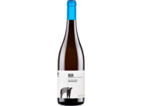 San Salvatore Elea Greco 2022, Kampanien, trocken