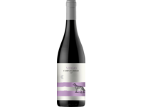 Virgo Campania rosso 2022, Kampanien, trocken