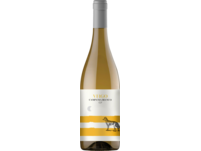 Virgo Campania bianco 2022, Kampanien, trocken