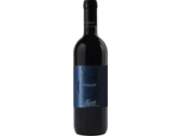 Fiulot Barbera d´Asti 2023, Piemont, trocken