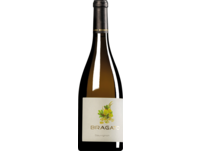 Bragato Sauvignon 2020, Friaul, trocken