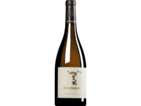 Bragato Praephylloxera 2019, Friaul, trocken