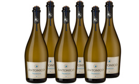 Antonico Prosecco Karton-Angebot