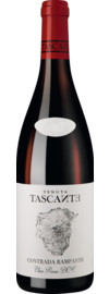 2017 Contrada Rampante