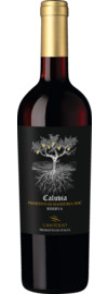 2018 Caluvia Primitivo di Manduria Riserva