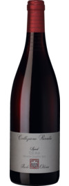 2019 Collezione Privata Syrah