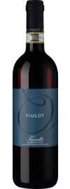 2021 Fiulot Barbera d'Asti