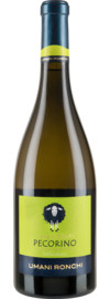 2022 Vellodoro Pecorino