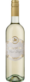 2023 Leon d'Oro Pinot Grigio