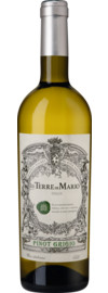 2022 Terre di Mario Pinot Grigio