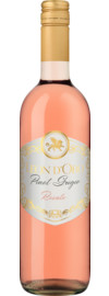 2023 Leon d'Oro Pinot Grigio Rosato