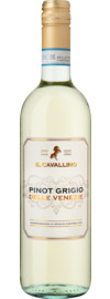 2023 Il Cavallino Pinot Grigio