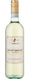 2023 Il Cavallino Pinot Grigio