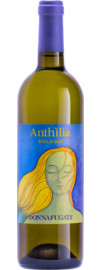 2023 Anthilia