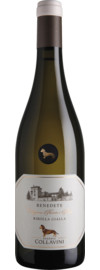 2023 Benedete Ribolla Gialla