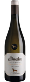 2023 Eugenio Collavini Sauvignon Blanc