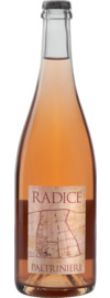 2023 Radice Lambrusco