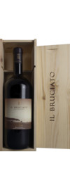 2023 Il Bruciato