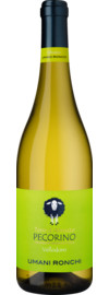 2024 Vellodoro Pecorino