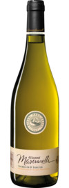 2024 Gianni Masciarelli Trebbiano d'Abruzzo