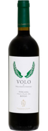 2019 Volo