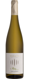 2023 Moriz Pinot Bianco