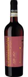 2020 Evoluzione Chianti Riserva 5 Anni