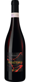 2024 Ardaterra Aglianico