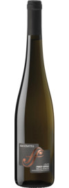 2024 Sacchetto Pinot Grigio