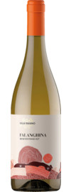 2024 Falanghina Raiano