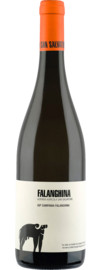 2024 San Salvatore Falanghina Bianco
